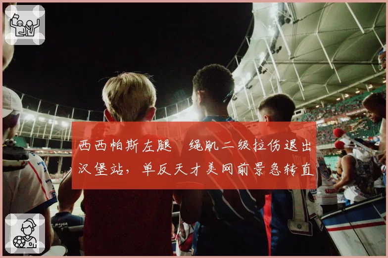 西西帕斯左腿腘绳肌二级拉伤退出汉堡站,单反天才美网前景急转直下