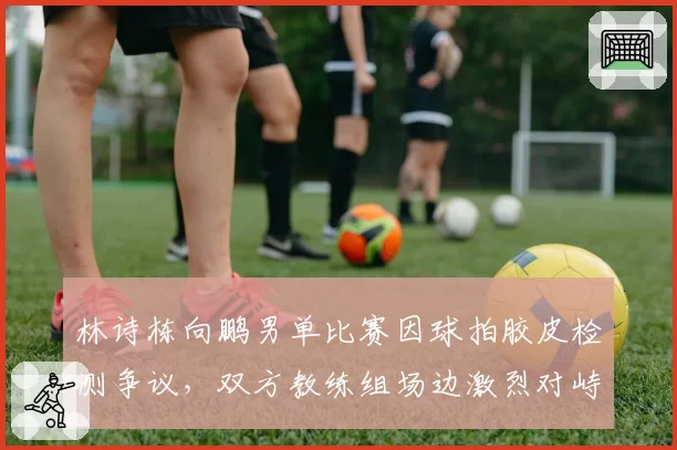 林诗栋向鹏男单比赛因球拍胶皮检测争议，双方教练组场边激烈对峙